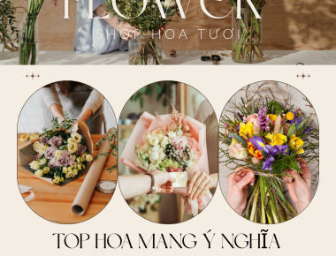 Top mẫu hoa mang ý nghĩa may mắn - tài lộc - thành công