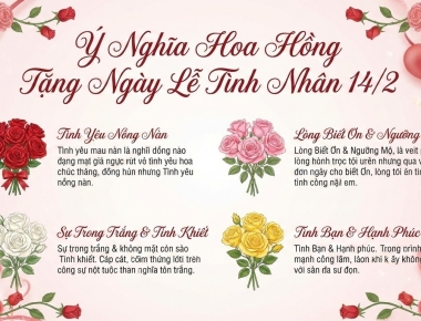 Ý NGHĨA HOA HỒNG TẶNG NGÀY LỄ TÌNH NHÂN 14/2 