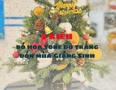 5 kiểu bó hoa tone đỏ trắng đón mùa Giáng Sinh sang trọng