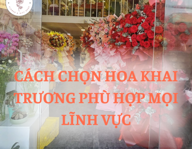 Bật mí cách chọn hoa chúc mừng khai trương phù hợp nhất với mọi lĩnh vực