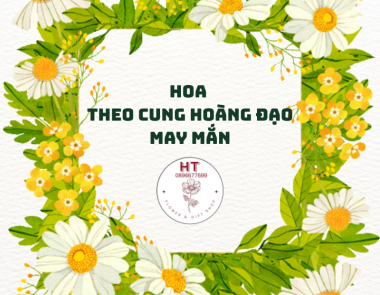 Bí kíp chọn hoa theo cung hoàng đạo may mắn