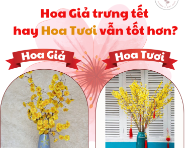 Có nên mua hoa giả trưng Tết hay hoa tươi vẫn tốt hơn?