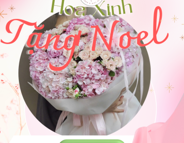 Gợi ý những mẫu hoa tặng người thân nhân dịp Noel - ý nghĩa nhất