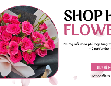 Những mẫu hoa phù hợp tặng thầy cô giáo - ý nghĩa vào ngày 20/11 