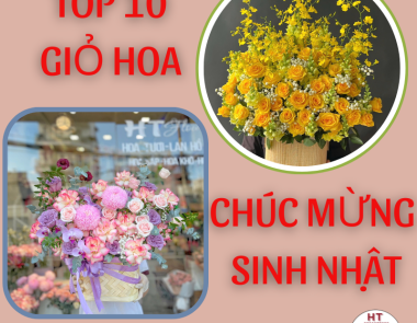 Top 10 giỏ hoa tặng sinh nhật ý nghĩa cho người thân, bạn bè