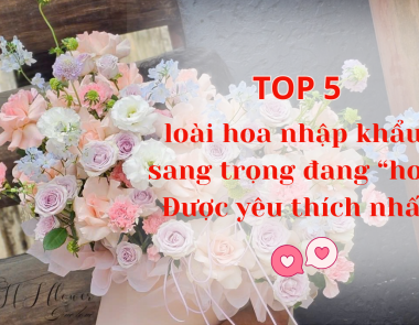 Top 5 loài hoa nhập khẩu sang trọng đang “hot” tại Việt Nam