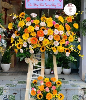 HOA KHAI TRƯƠNG - KT23
