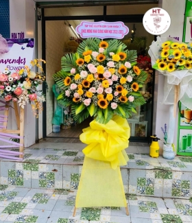 HOA KHAI TRƯƠNG - KT24