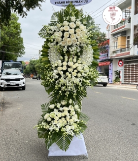HOA CHIA BUỒN - CB21