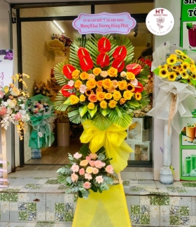 HOA KHAI TRƯƠNG - KT26