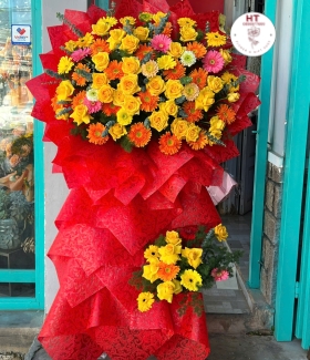 MỪNG KHAI TRƯƠNG