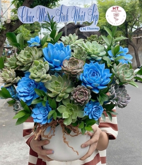 BÌNH XEN ĐÁ XANH