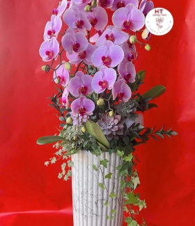 LAN HỒ ĐIỆP HỒNG - 5 CÀNH