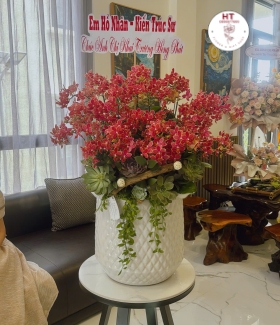 LAN HỒ ĐIỆP MINI ĐỎ - 12 CÂY