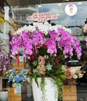 CHẬU HỒ ĐIỆP TRẮNG + BẢN ĐỒ - 12 CANHH