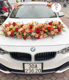 XE HOA 08