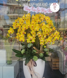 LAN HỒ ĐIỆP 05