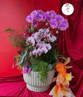 LAN HỒ ĐIỆP 04