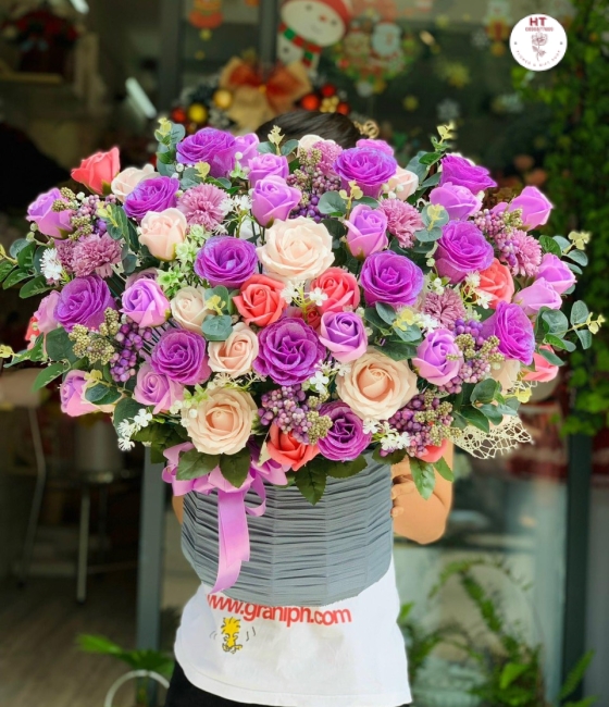 Hoa hồng đủ loại