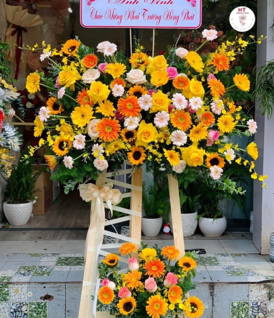 HOA KHAI TRƯƠNG - KT23