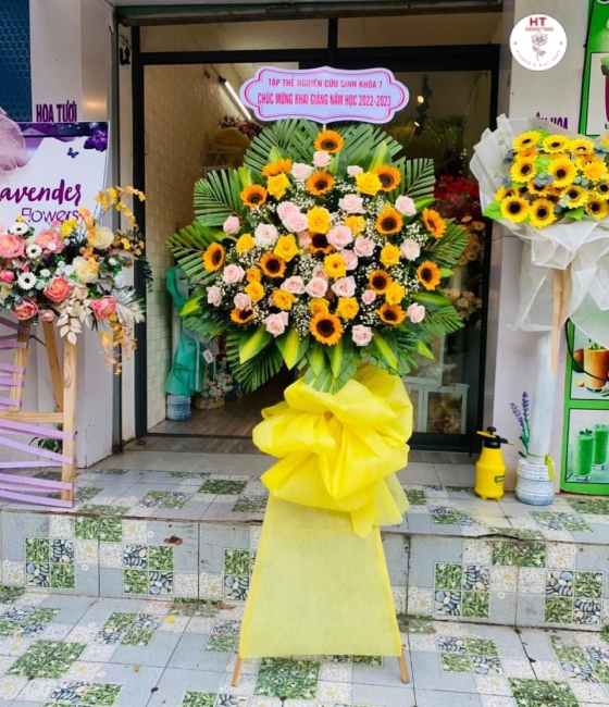 HOA KHAI TRƯƠNG - KT24