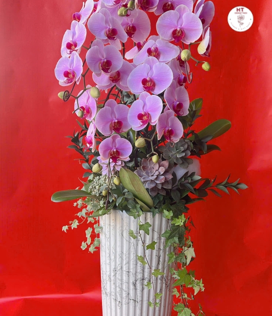 LAN HỒ ĐIỆP HỒNG - 5 CÀNH