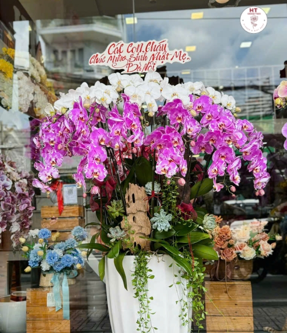 CHẬU HỒ ĐIỆP TRẮNG + BẢN ĐỒ - 12 CANHH