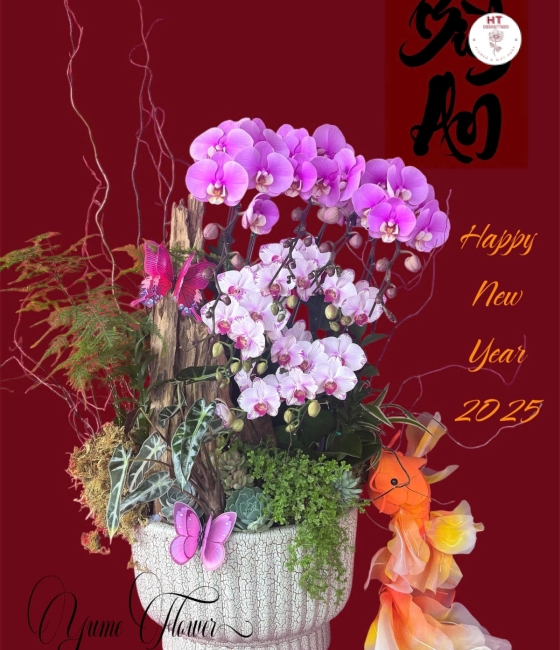 LAN HỒ ĐIỆP DECOR LŨA