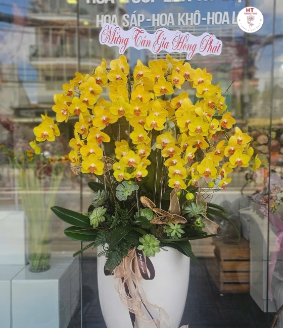 LAN HỒ ĐIỆP 05